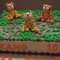 Birthday_Kamo-10